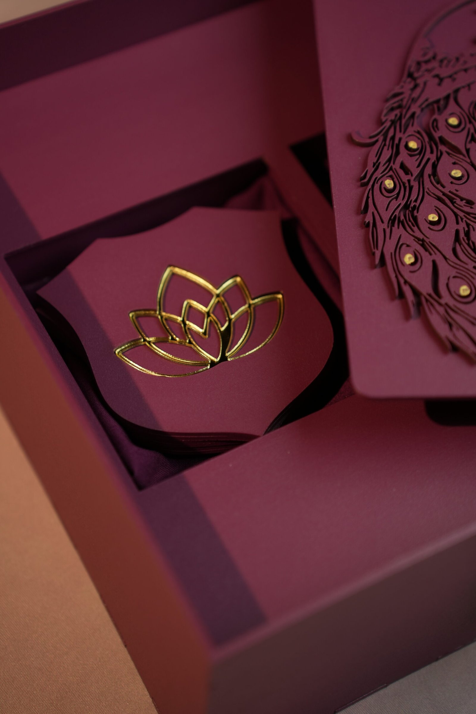 skynite feature image-4